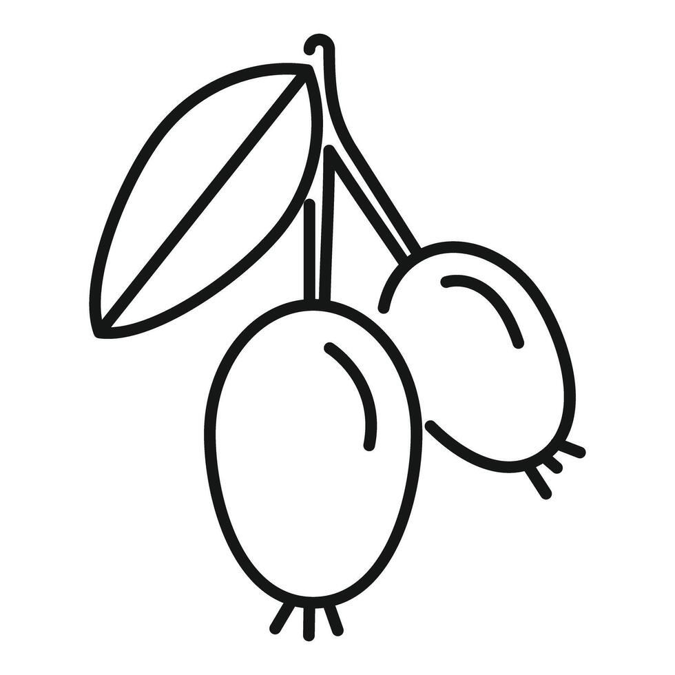 Line icon style illustration of two honeyberries hanging from branch vector