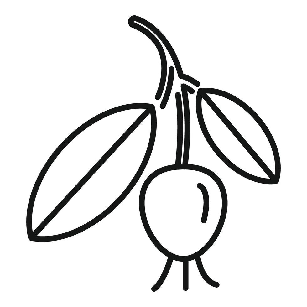 Line icon style illustration of a cranberry vector