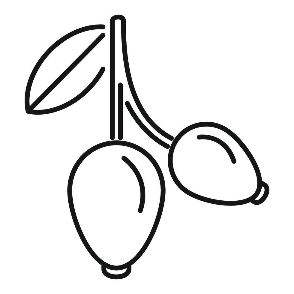 Branch of sea buckthorn with berries growing icon outline style vector