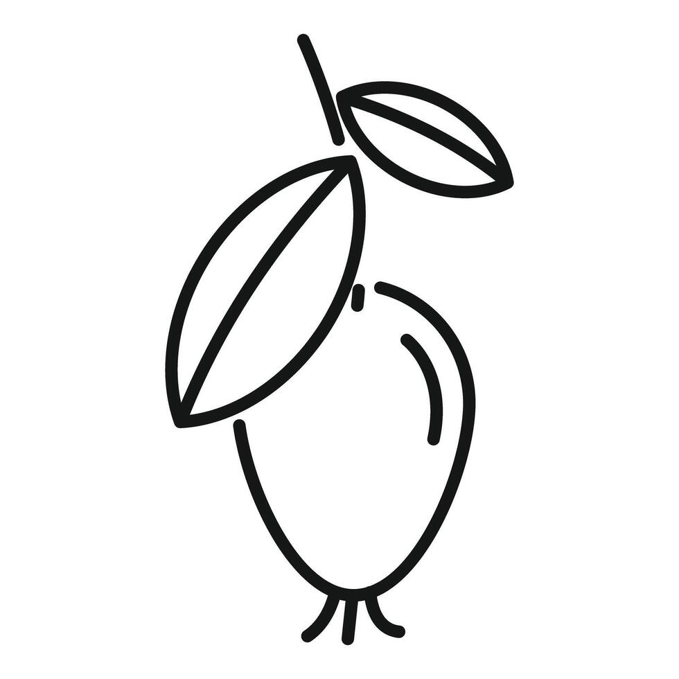 Line drawing of ripe sea buckthorn berry with leaves vector