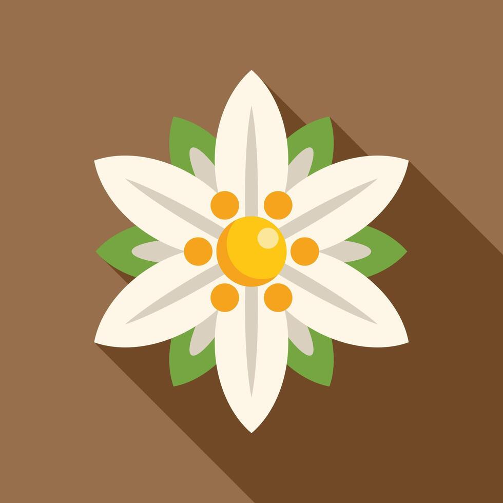 White edelweiss flower growing with long shadow vector