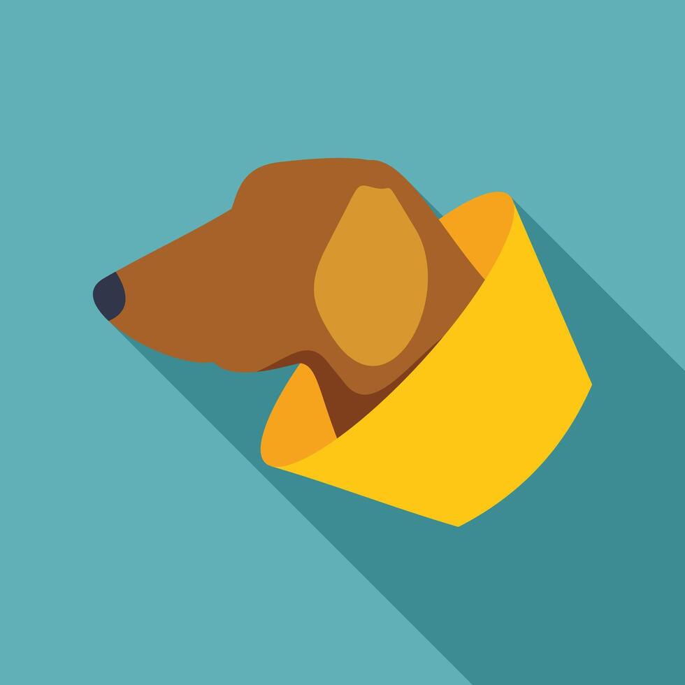 Dachshund dog wearing elizabethan collar looking right vector