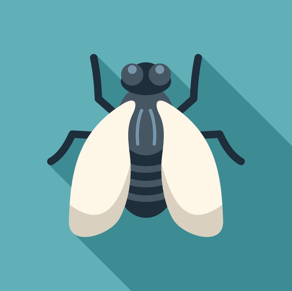 House fly insect spreading germs with its dirty legs and wings vector