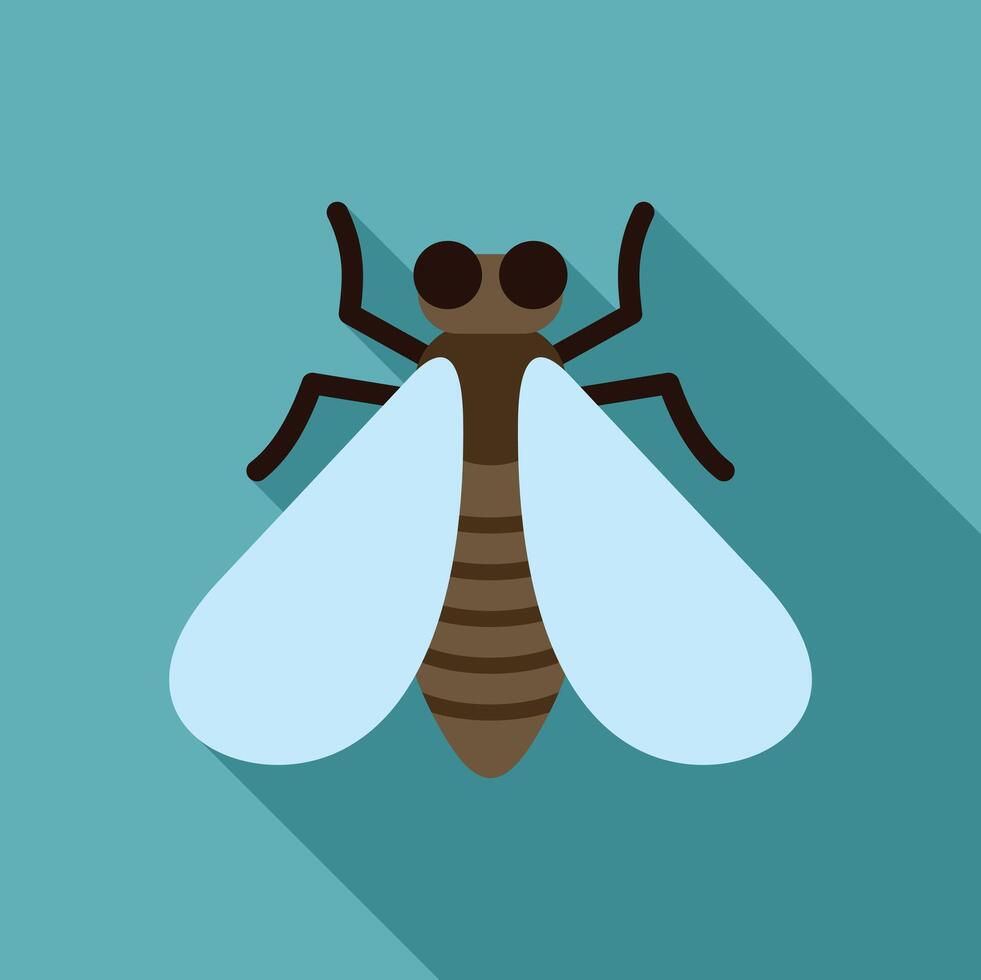 Big brown fly insect spreading its wings on turquoise background vector