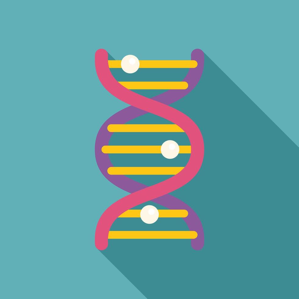 Dna double helix structure forming with long shadow vector