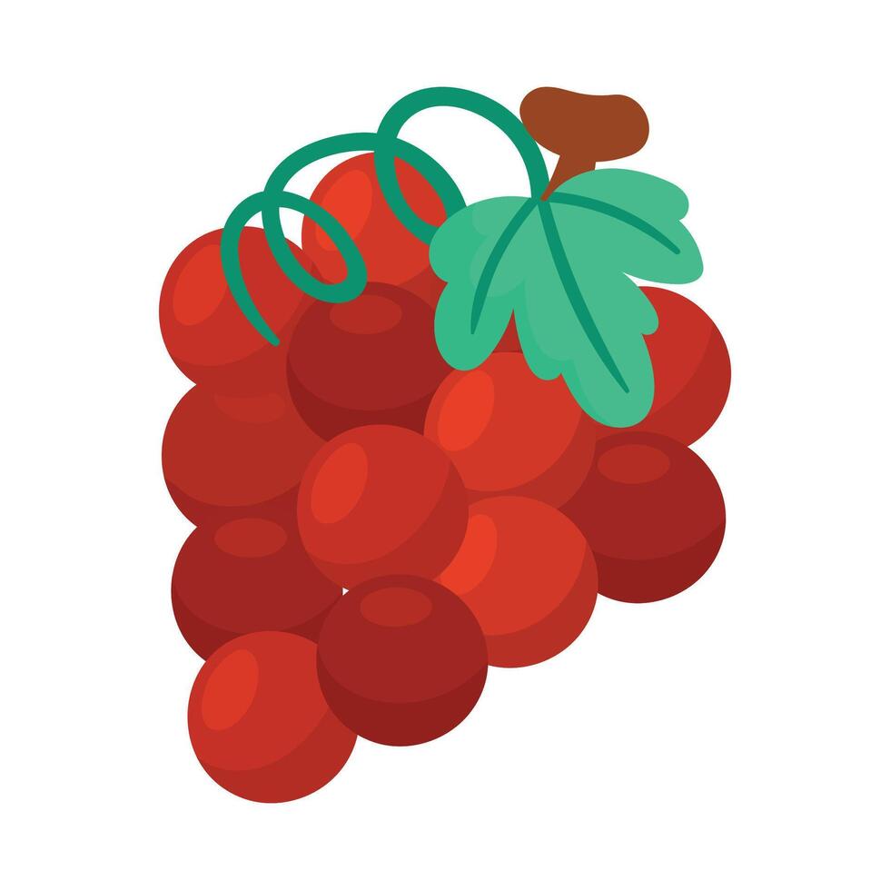 Grapes Flat design illustration isolated on a white background vector