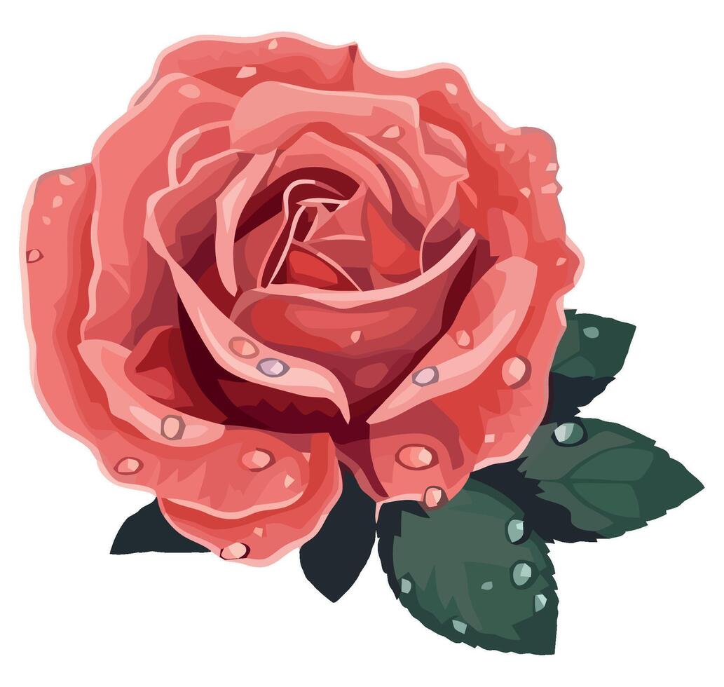 A rose with water droplets on it vector