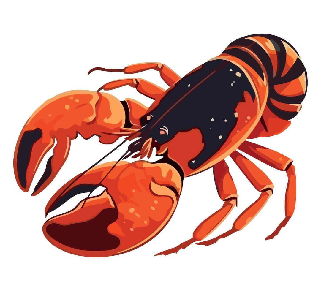Lobster illustration isolated on white background vector
