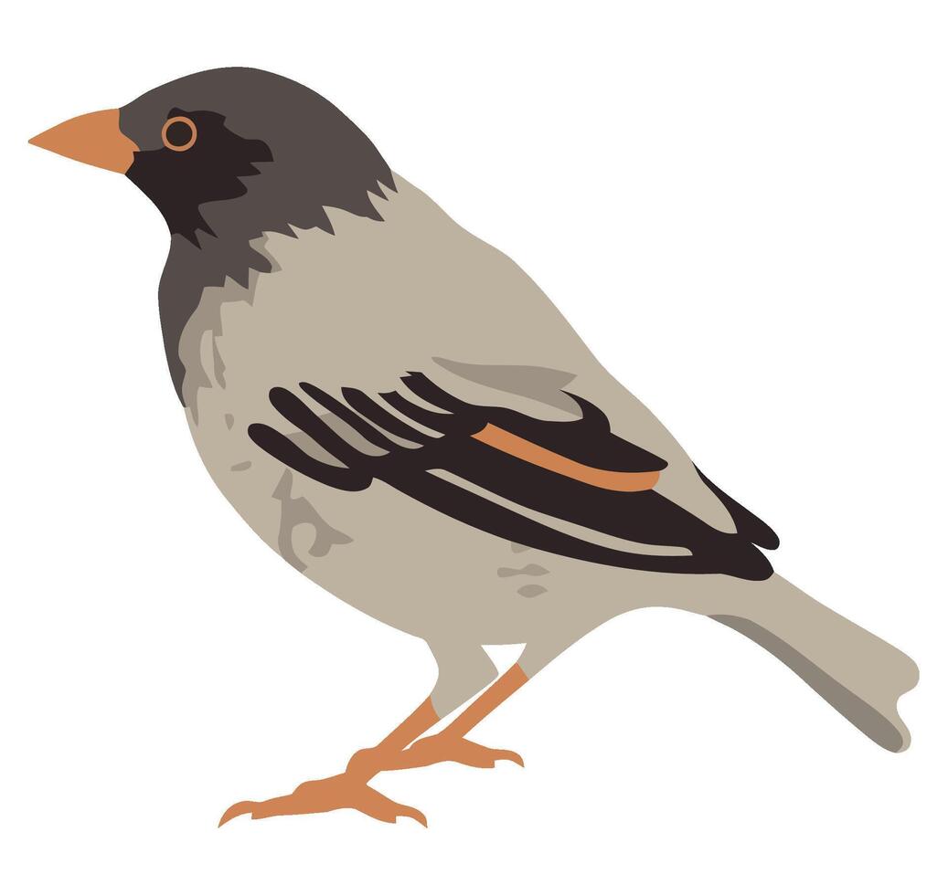 A bird with a black beak and orange legs vector