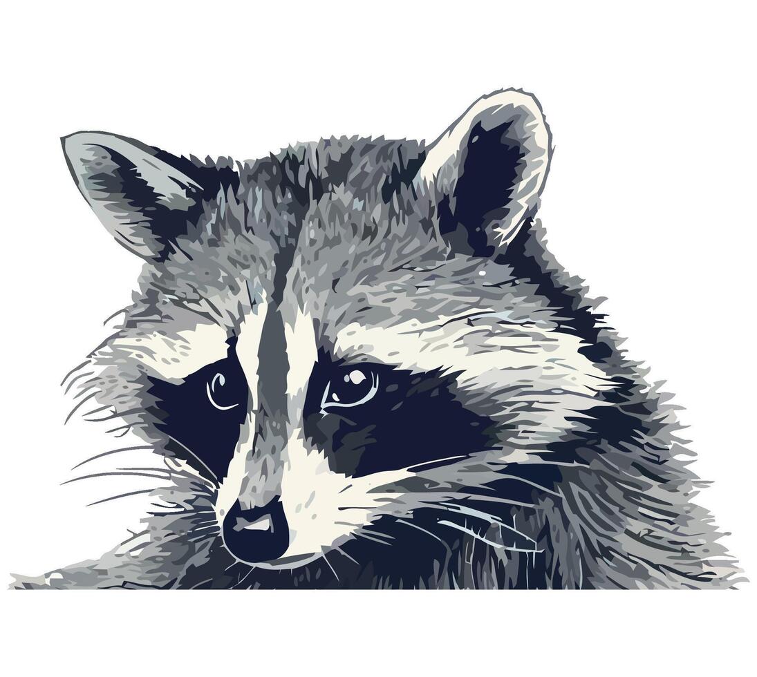 A drawing of a raccoon on a white background vector