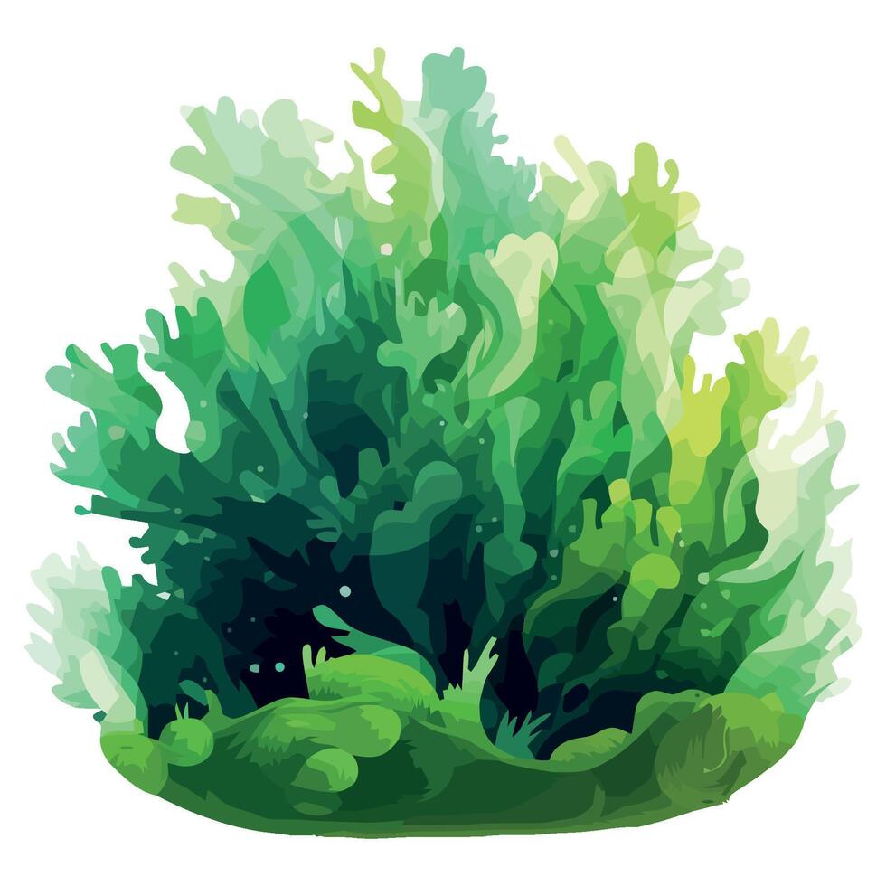 Green seaweed on a white background vector