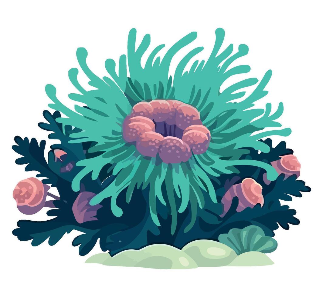 An illustration of a sea anemone with pink flowers vector