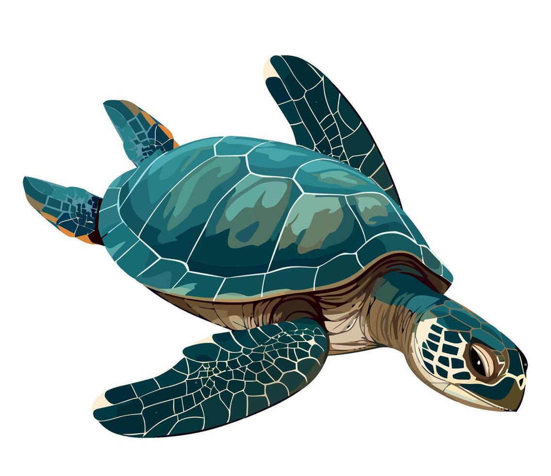 Sea turtle illustration vector
