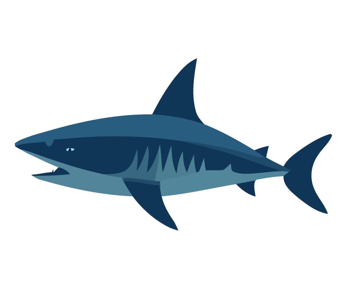 Great white shark illustration vector