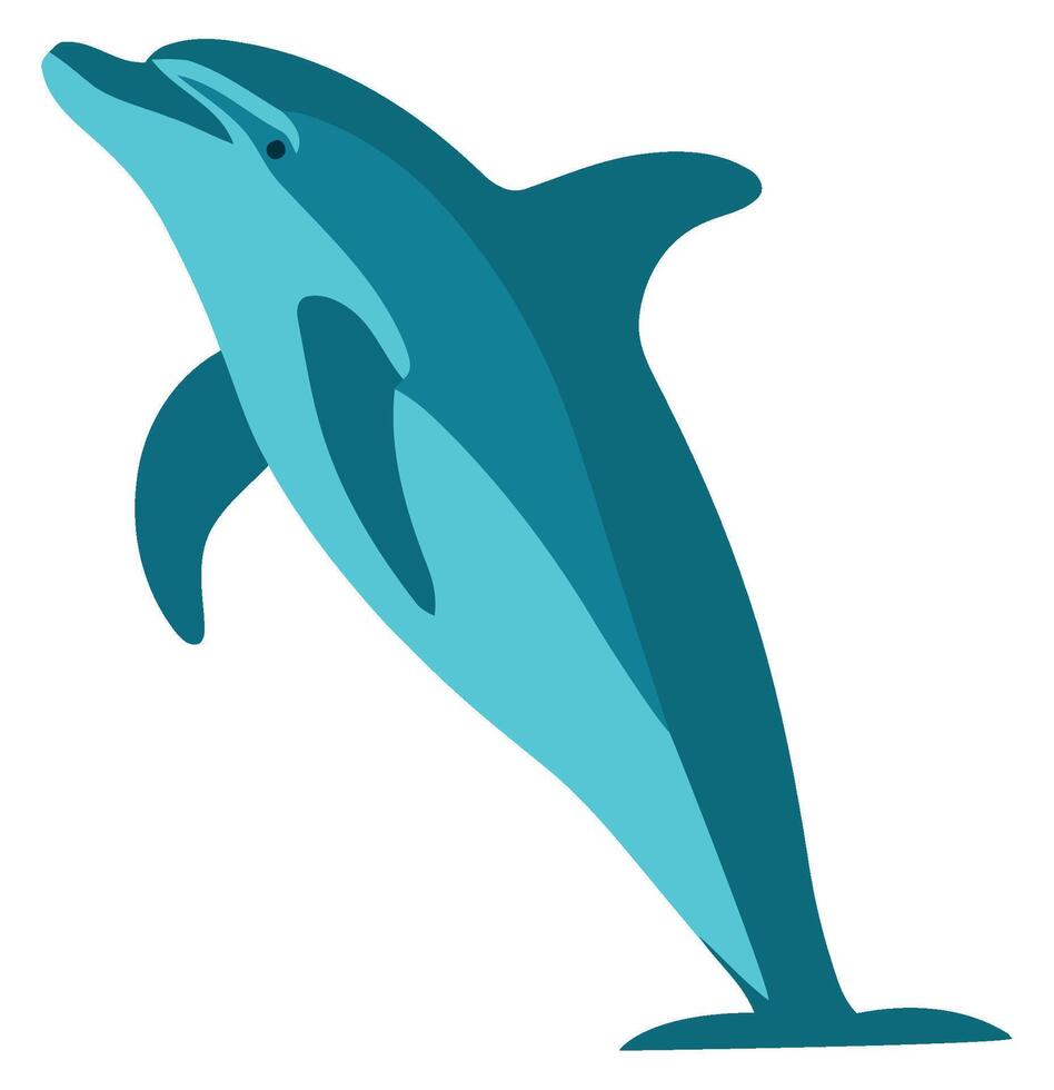Dolphin jumping illustration vector