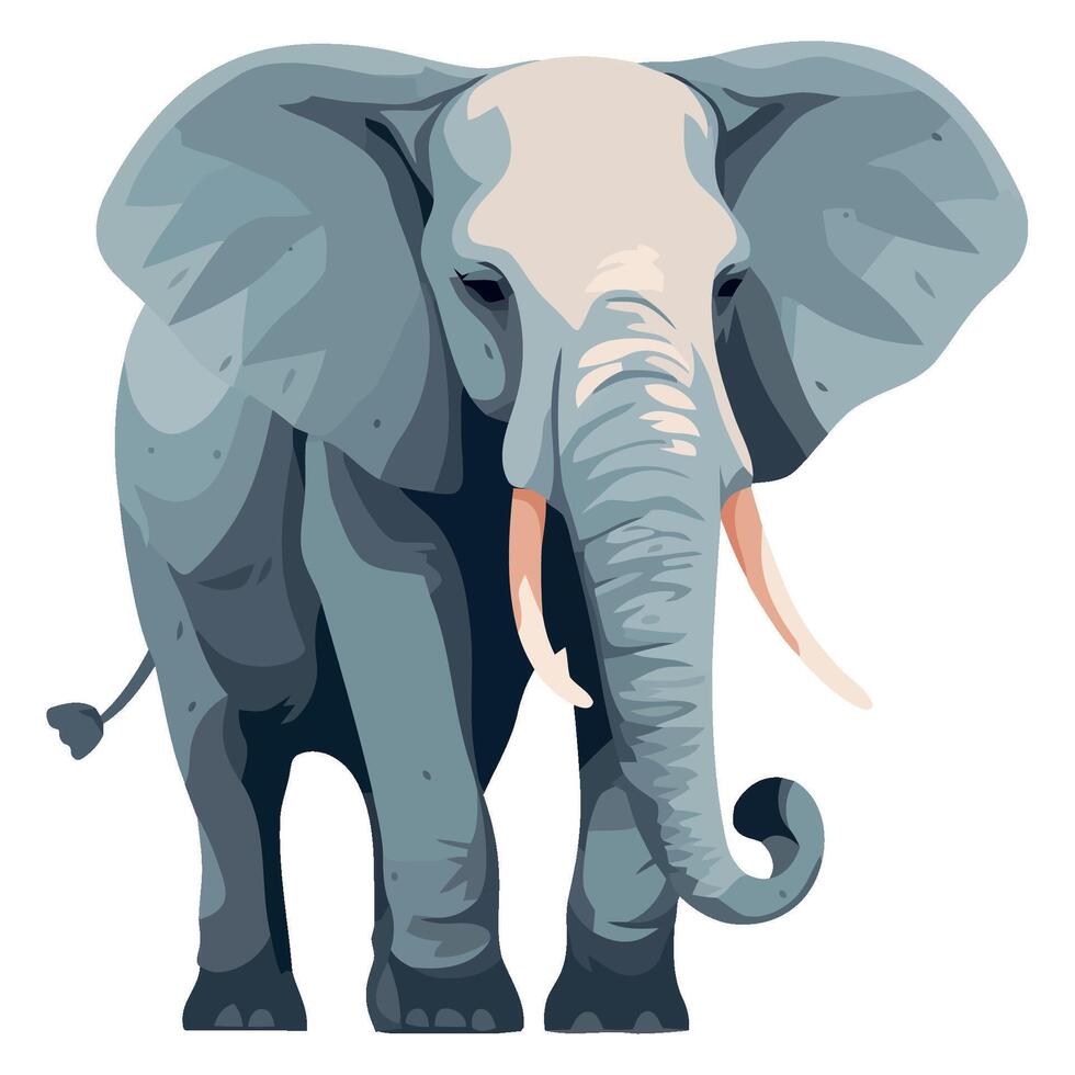 An elephant with tusks standing on a white background vector
