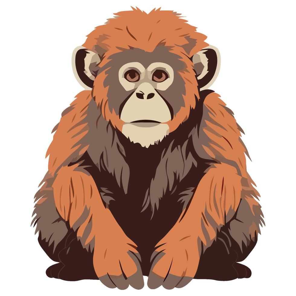 An illustration of a monkey sitting down vector