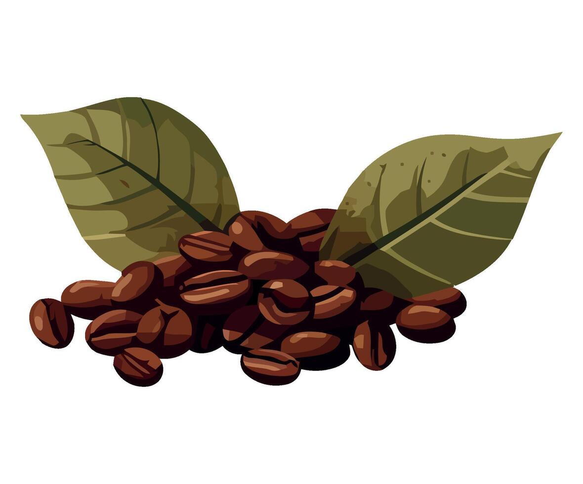 Coffee beans with leaves illustration vector