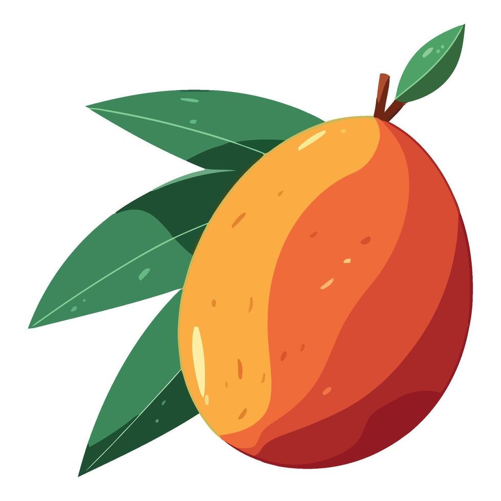 Mango fruit illustration vector