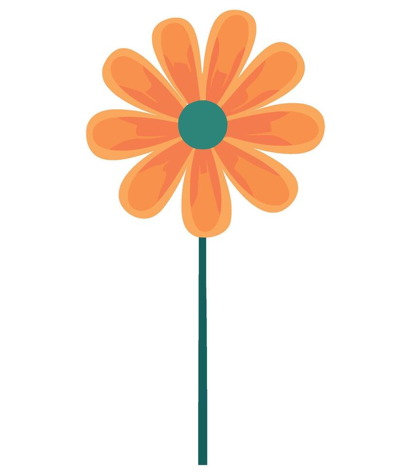 An orange flower with green leaves on a white background vector