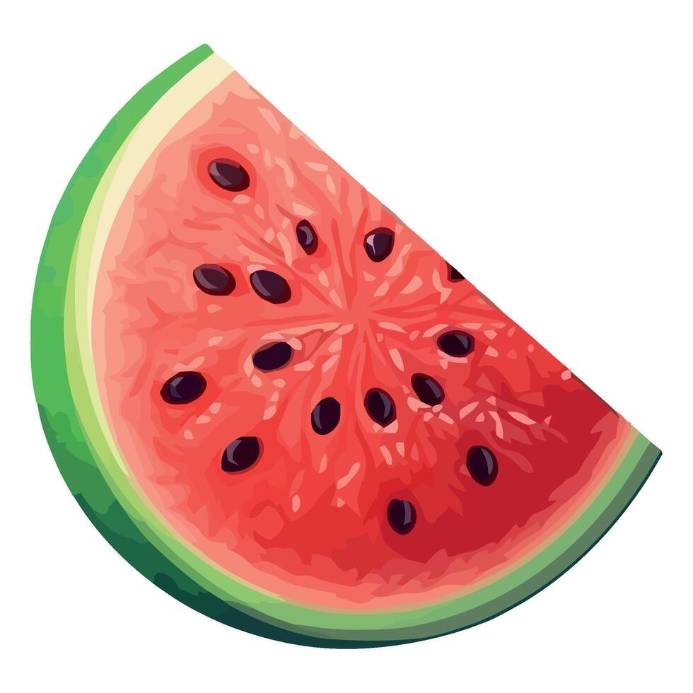 Watermelon slice illustration vector
