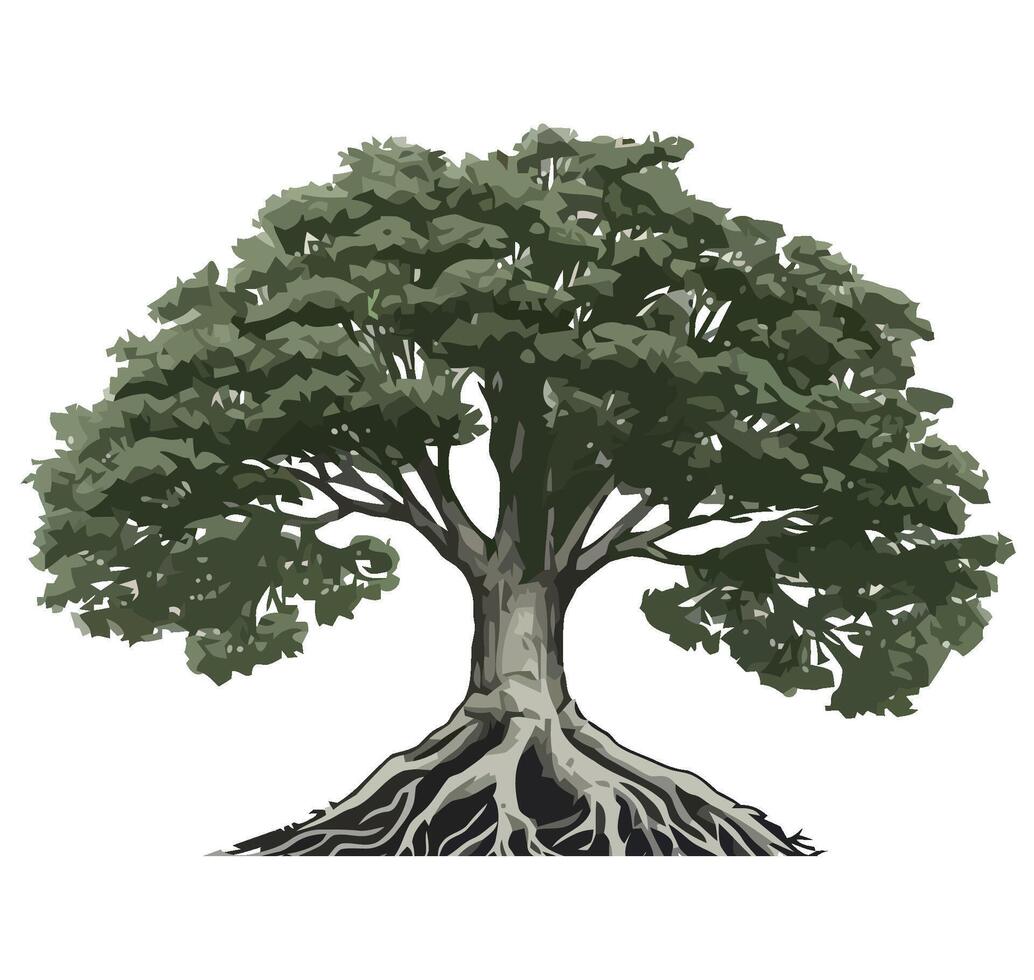 An illustration of a tree with roots vector