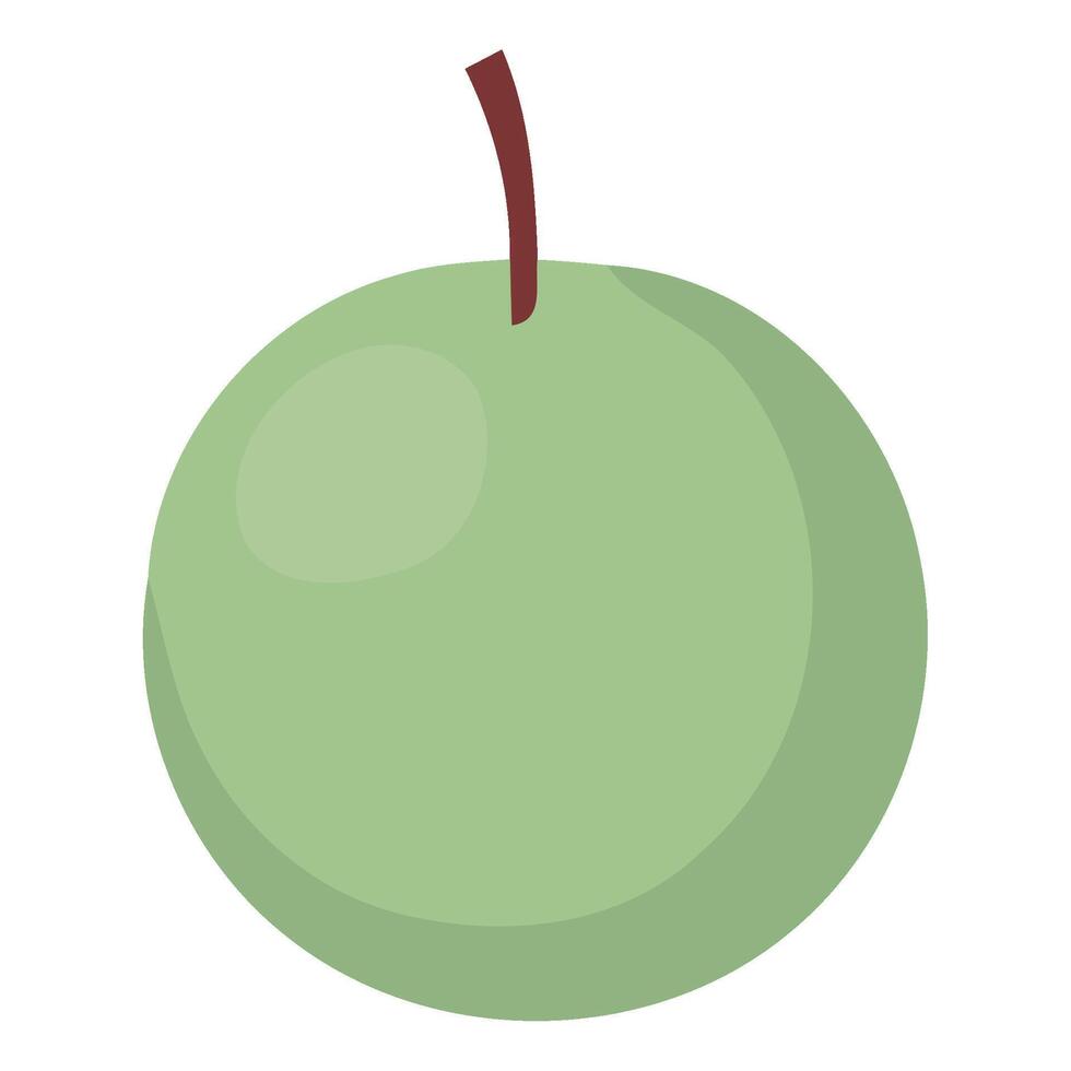 A green apple on a white background vector