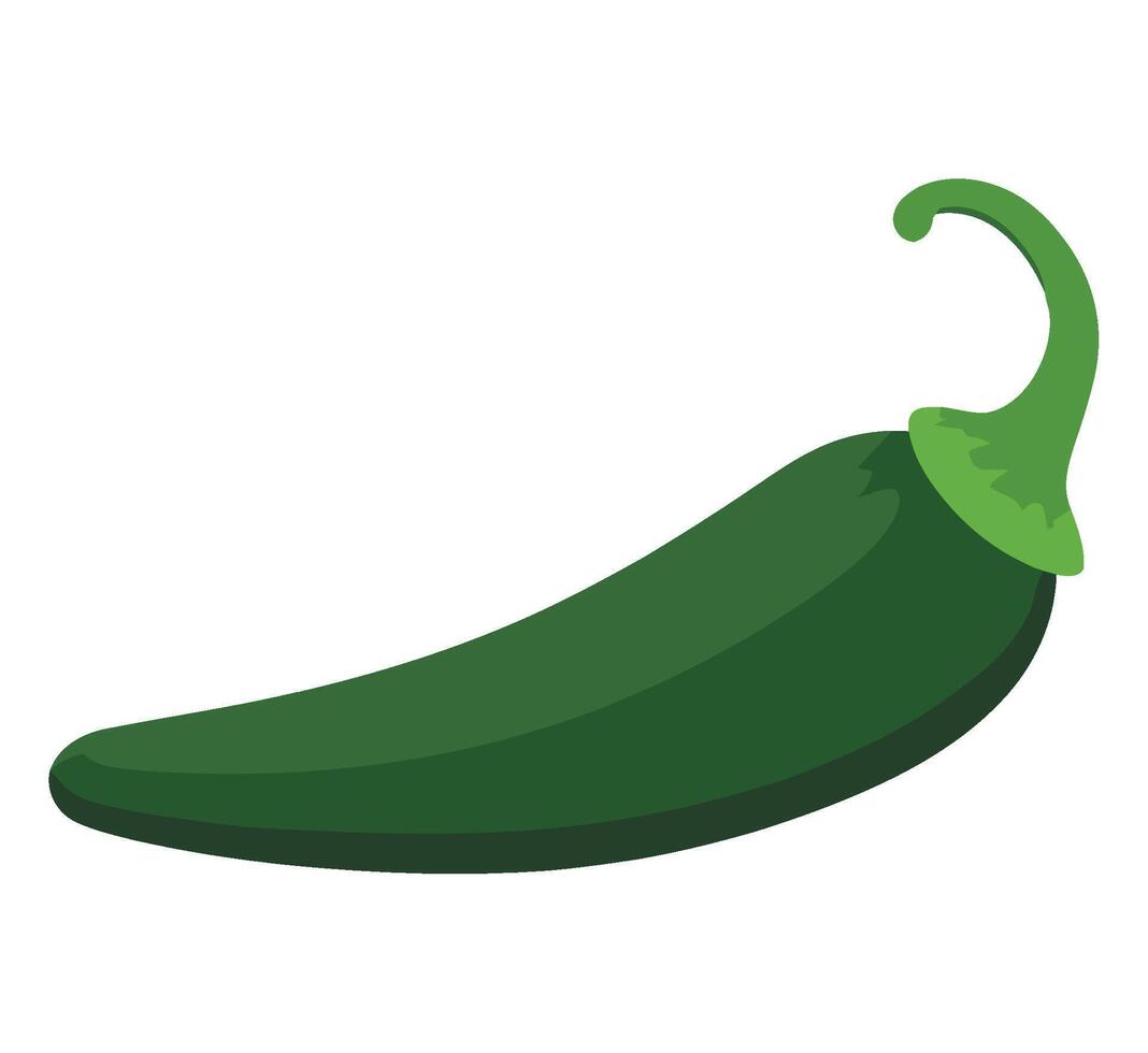 A green chili pepper on a white background vector