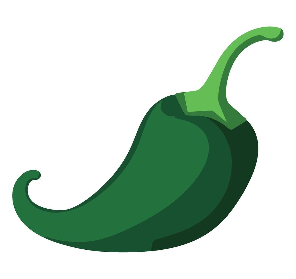A green chili pepper on a white background vector