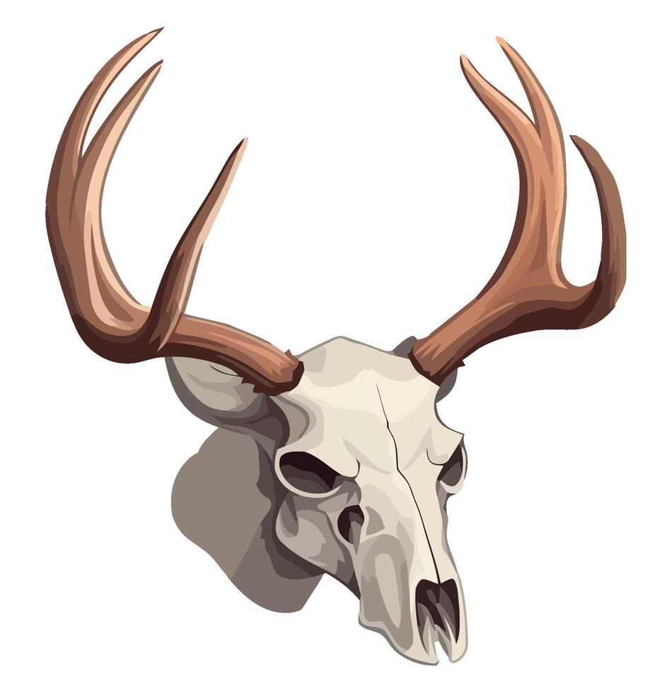 A deer skull with horns on it vector