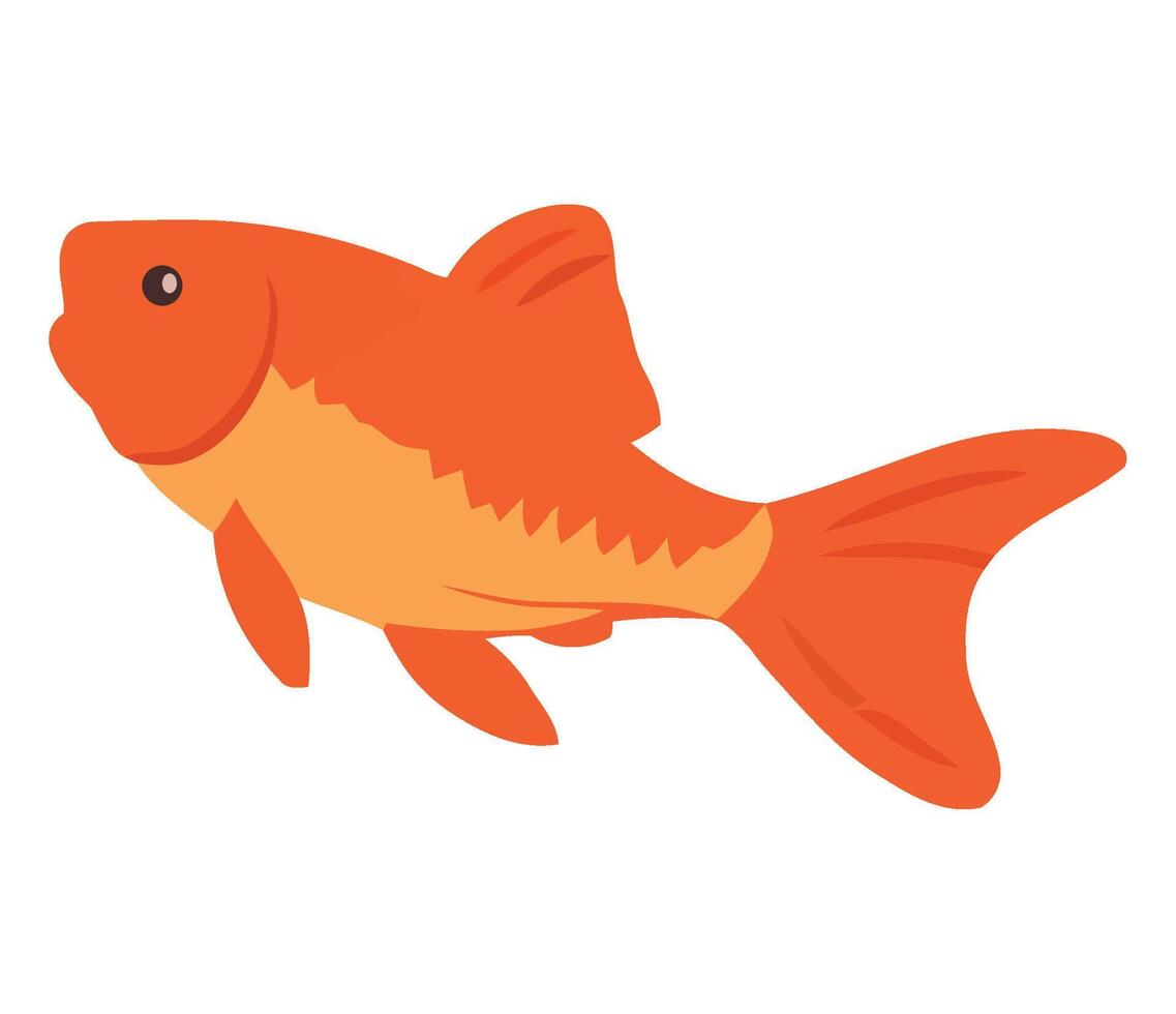 Goldfish fish illustration vector