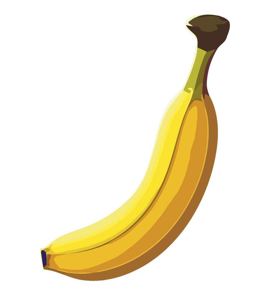 Banana fruit illustration vector