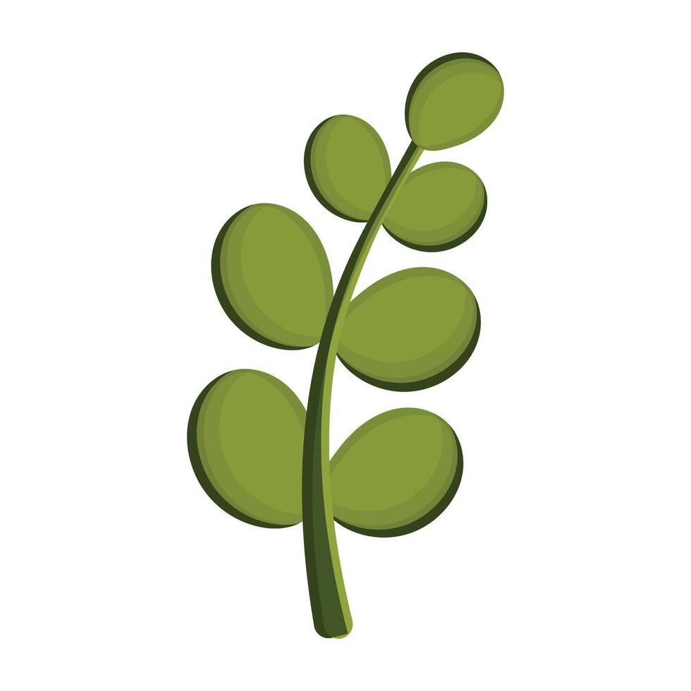 Hand drawn leaves illustration on the white background vector