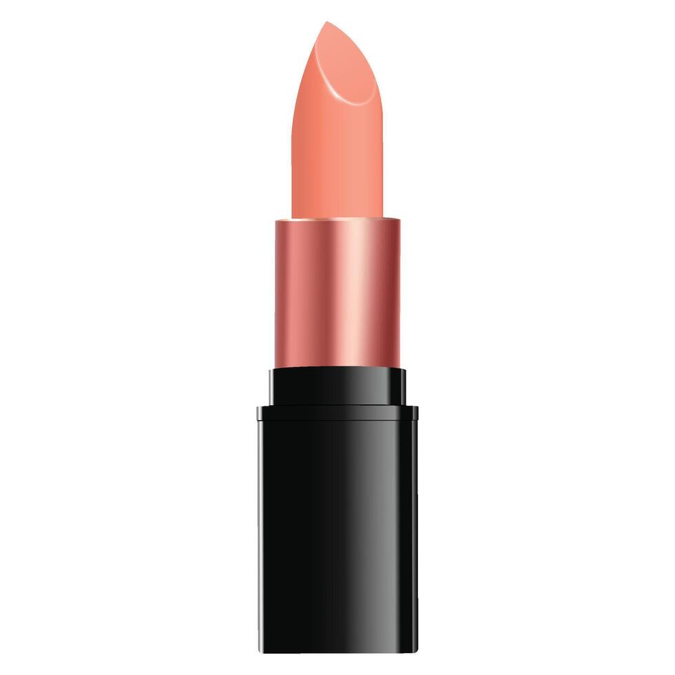 Lipstick Assortment illustration isolated on a white vector
