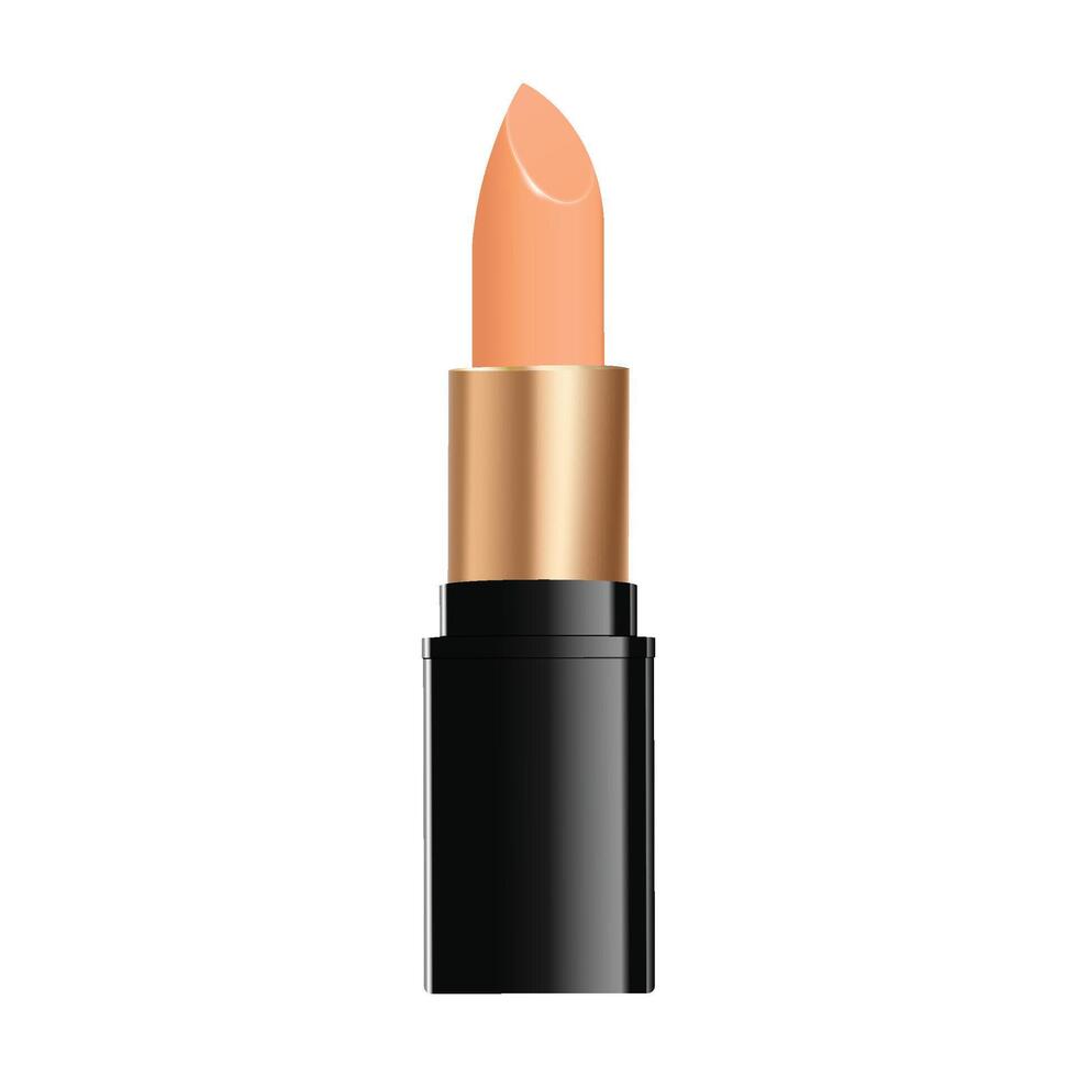 Lipstick Assortment illustration isolated on a white background vector