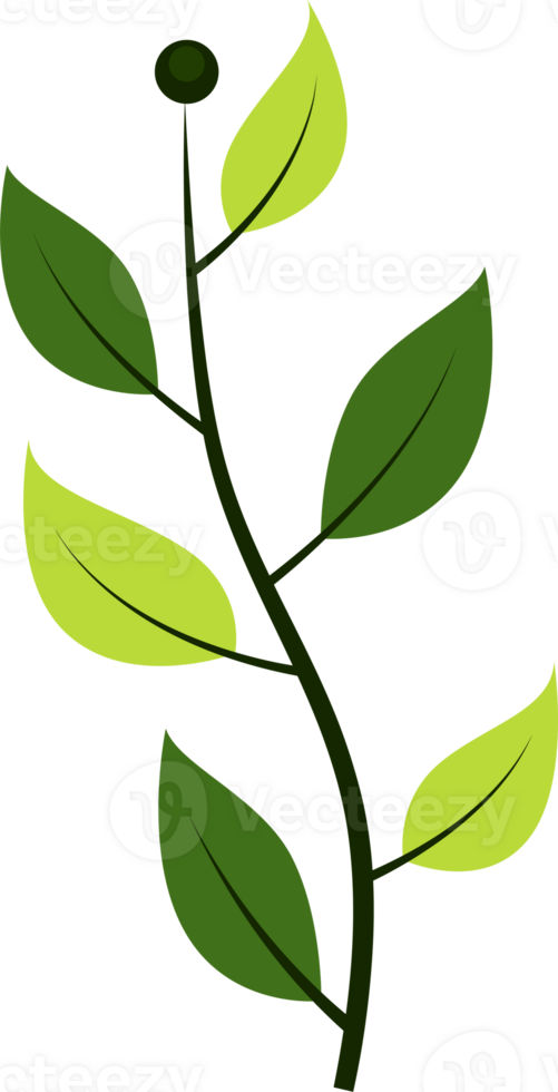 green leaf flat design for decorate illustration design png