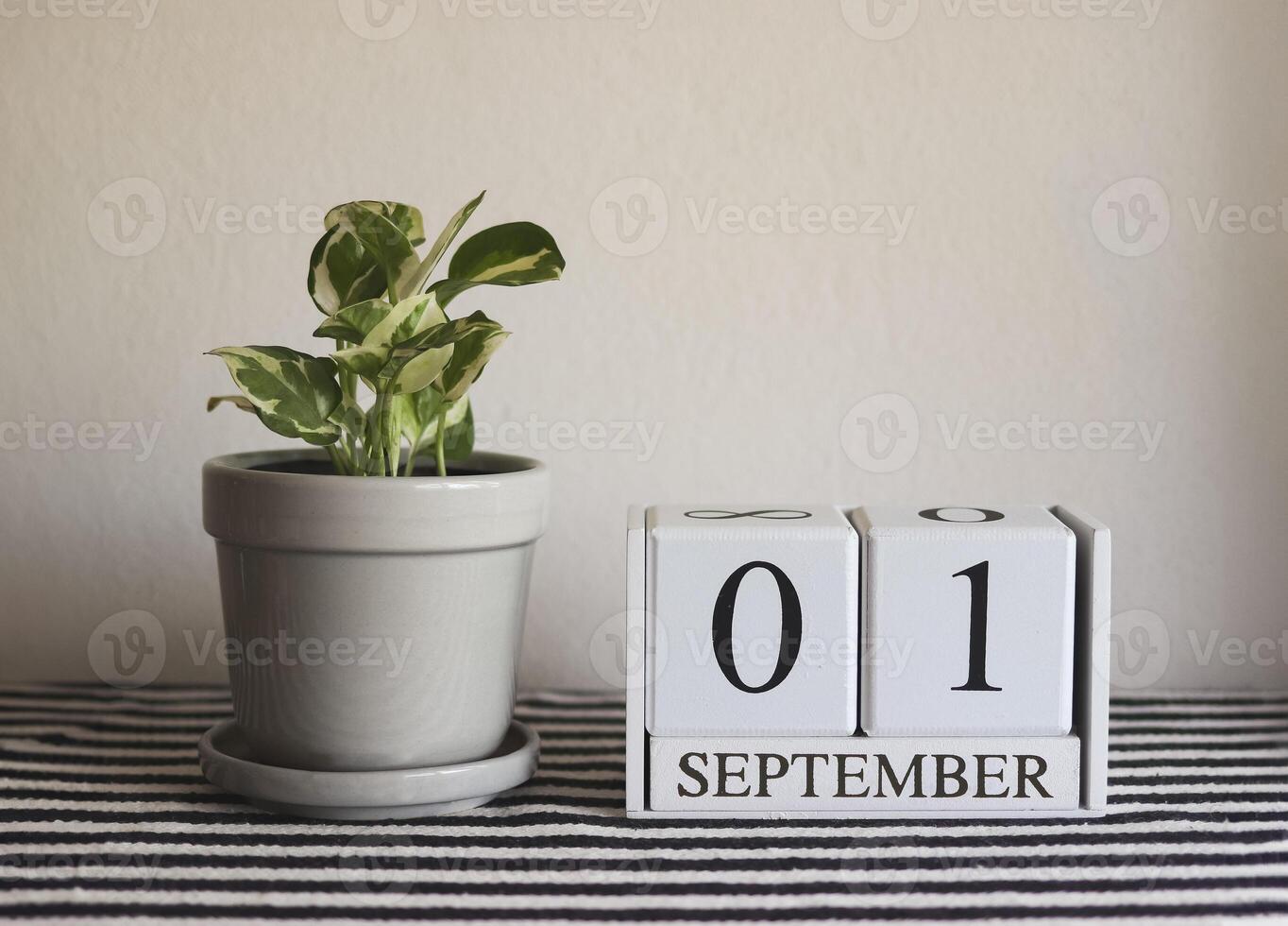 wooden calendar September 01 and plant pot on table with black and white stripe cloth, white wall background. photo