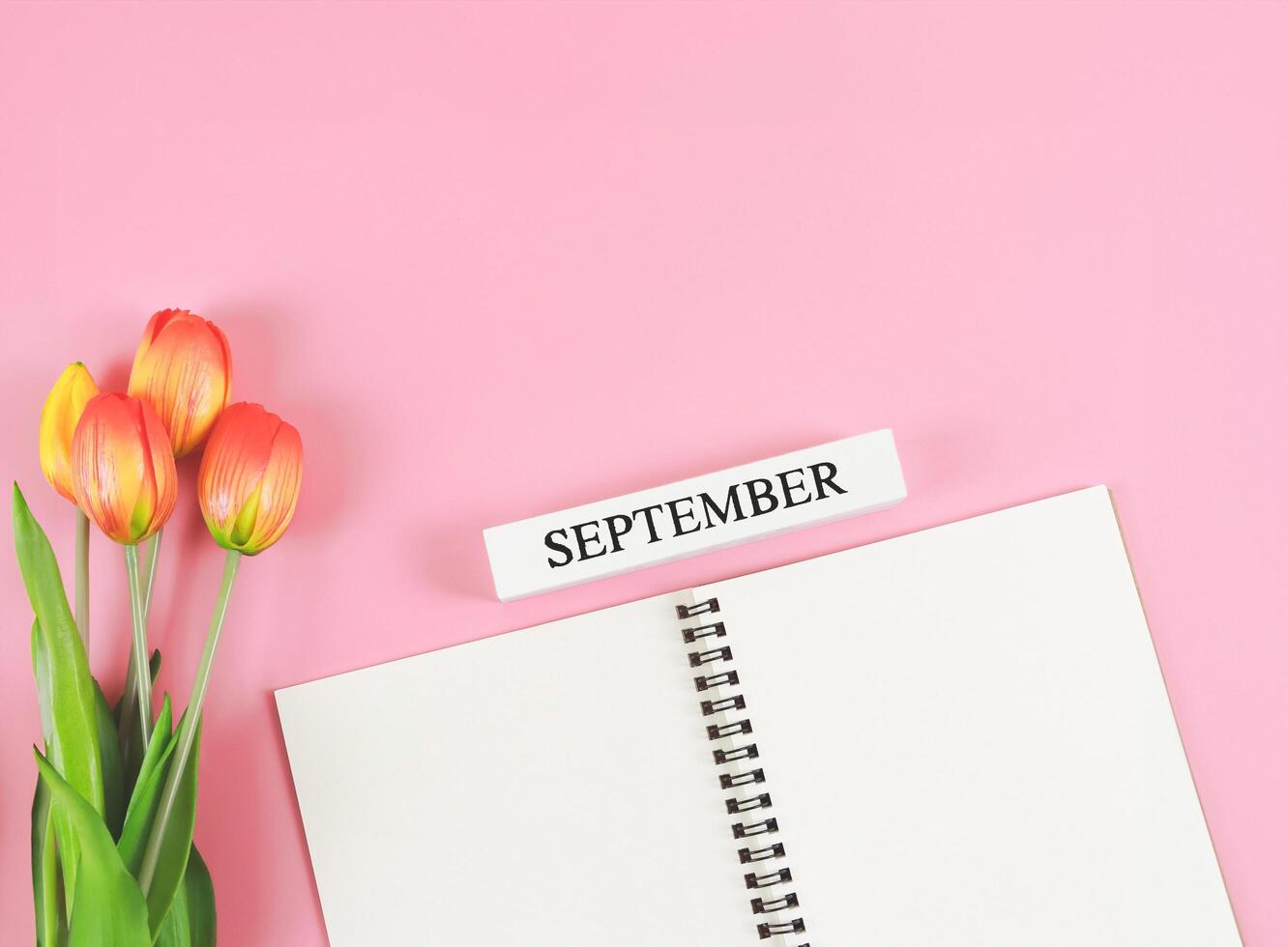 flat lay of opened diary or notebook with wooden calendar Septembert on pink background with orange-yellow tulips. Copy space. photo