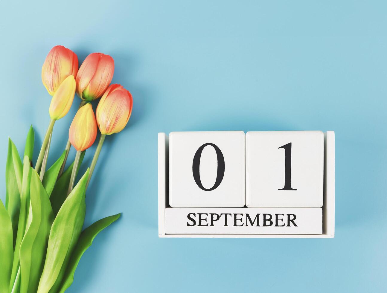flat lay of wooden calendar with date September 01 on blue background with orange and yellow tulips, copy space. photo