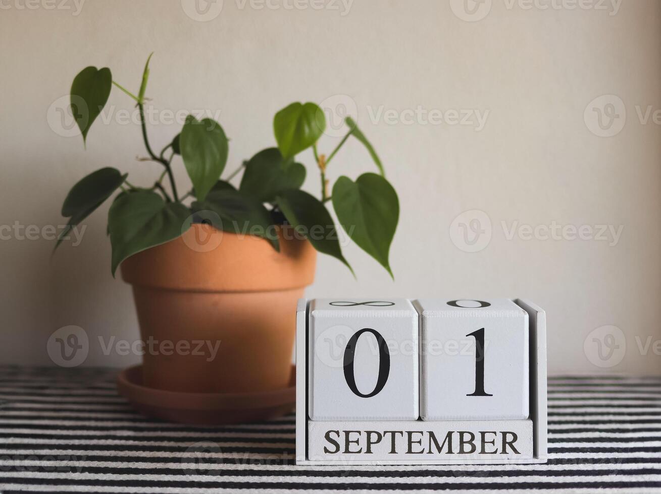 wooden calendar 01 September and house plant with heart shape leaves in clay flower pot on table with black and white stripe cloth and white background. photo