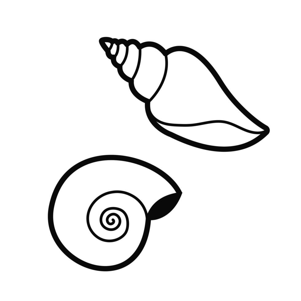 Shells. Outline illustration, design elements vector