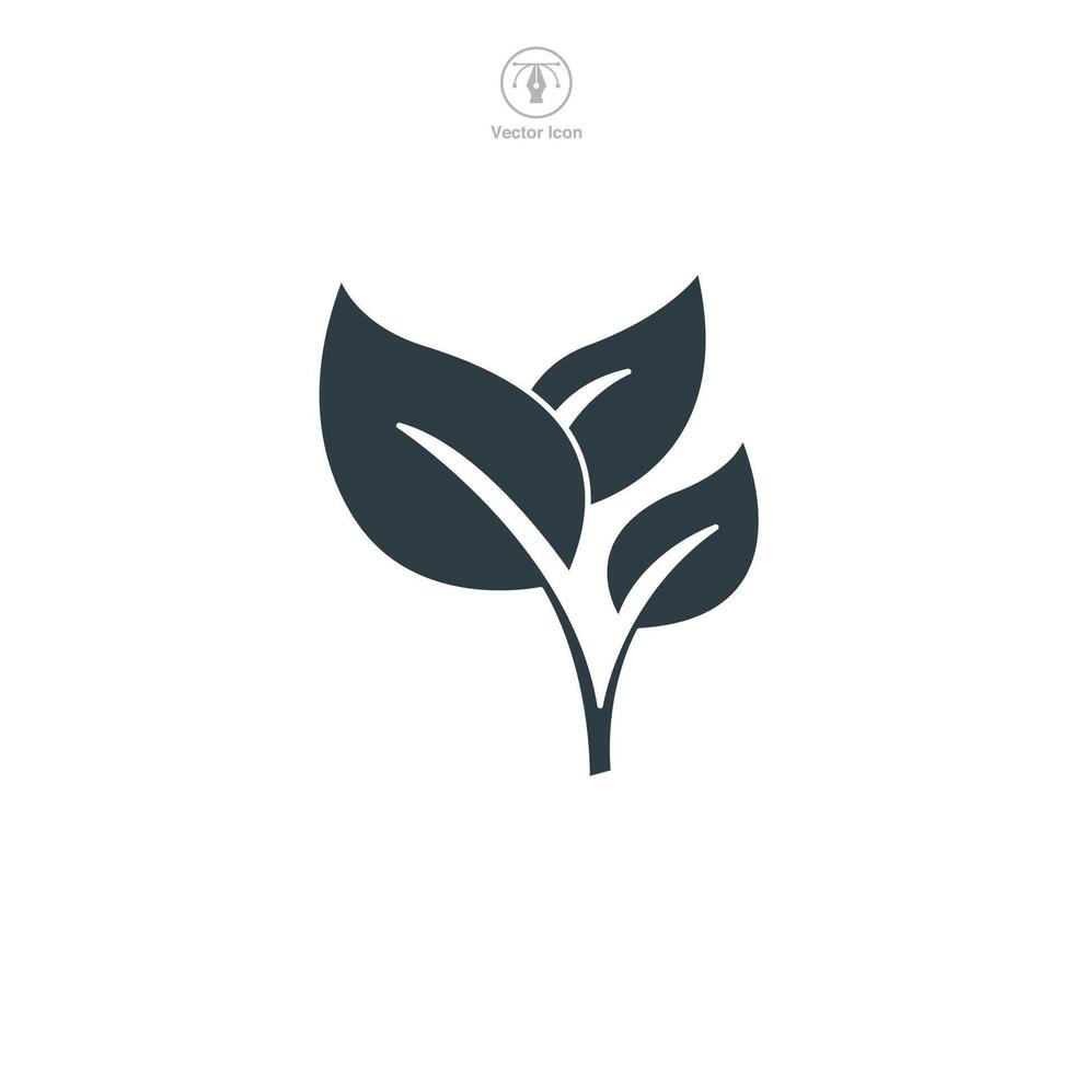 Leaf icon symbol illustration isolated on white background vector
