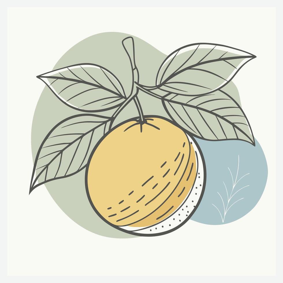 Vibrant Satsuma Illustration vector