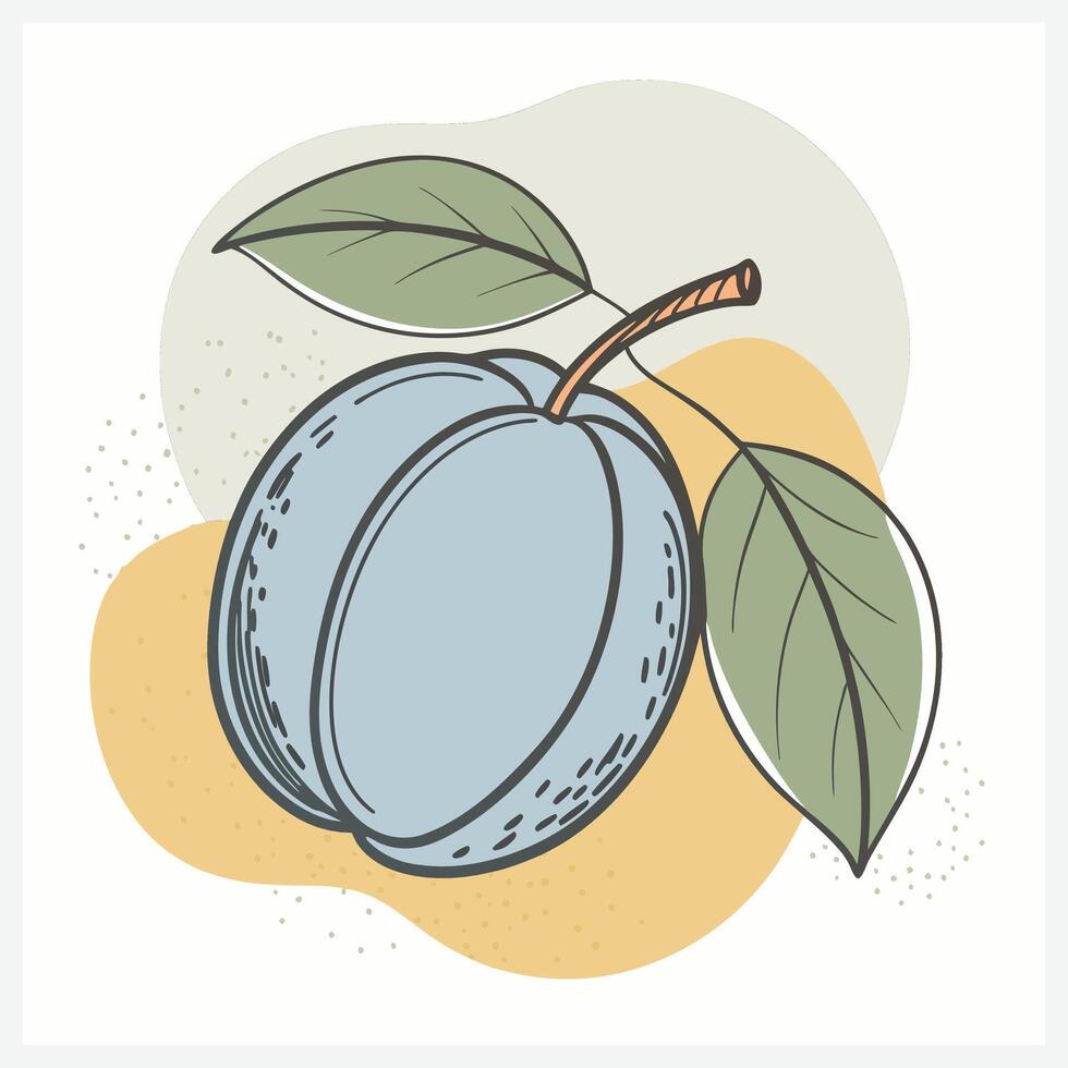 Elegant Plum Illustration vector
