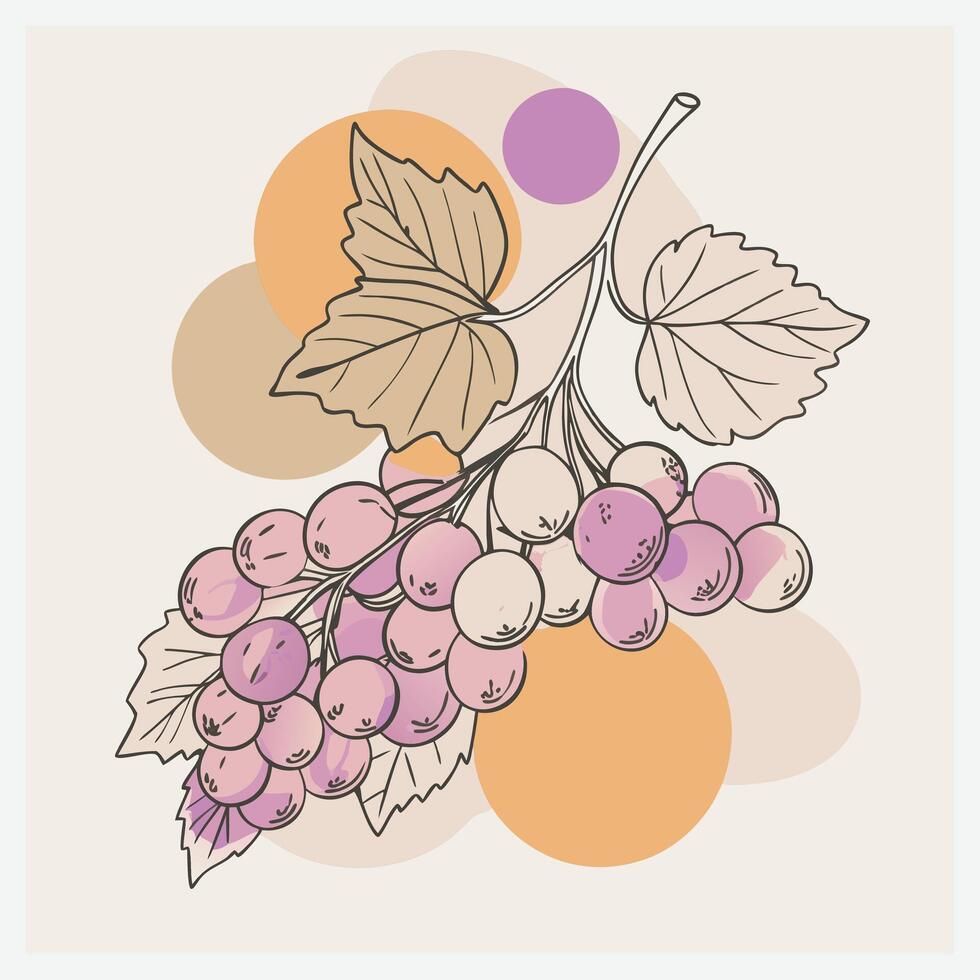 Elegant Currant Illustration ,Detailed Botanical Design for Creative Projects vector
