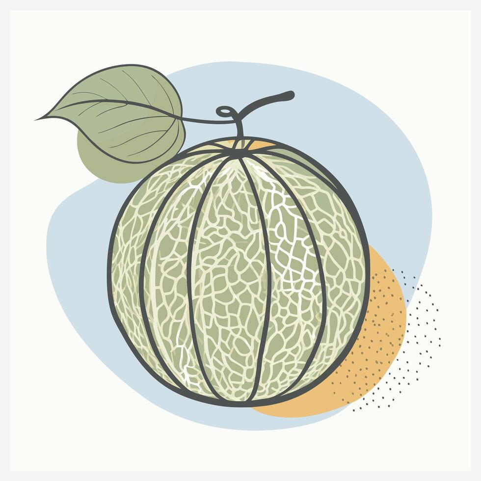 Cantaloupe Illustration, Premium Quality, High-Resolution Graphics for Design Projects vector
