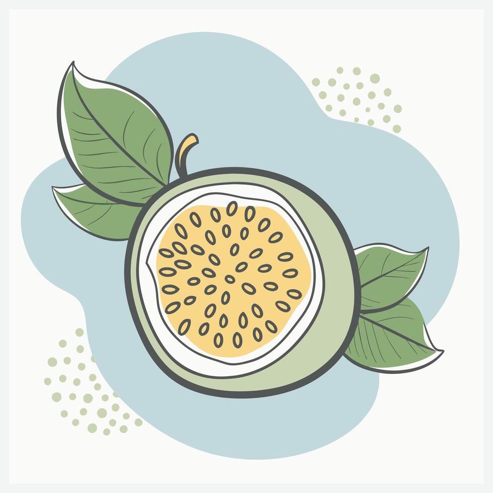 Stunning Passionfruit Illustration vector
