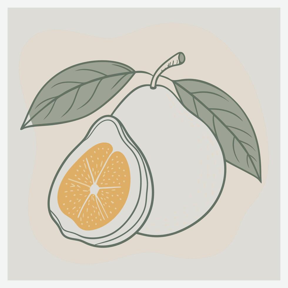 Vibrant Guava Illustration vector