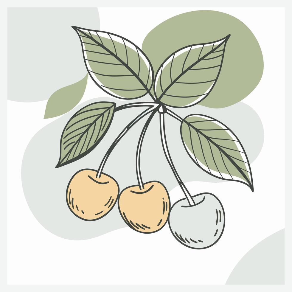 Stunning Capulin Cherry Illustration Detailed and Vibrant Art vector