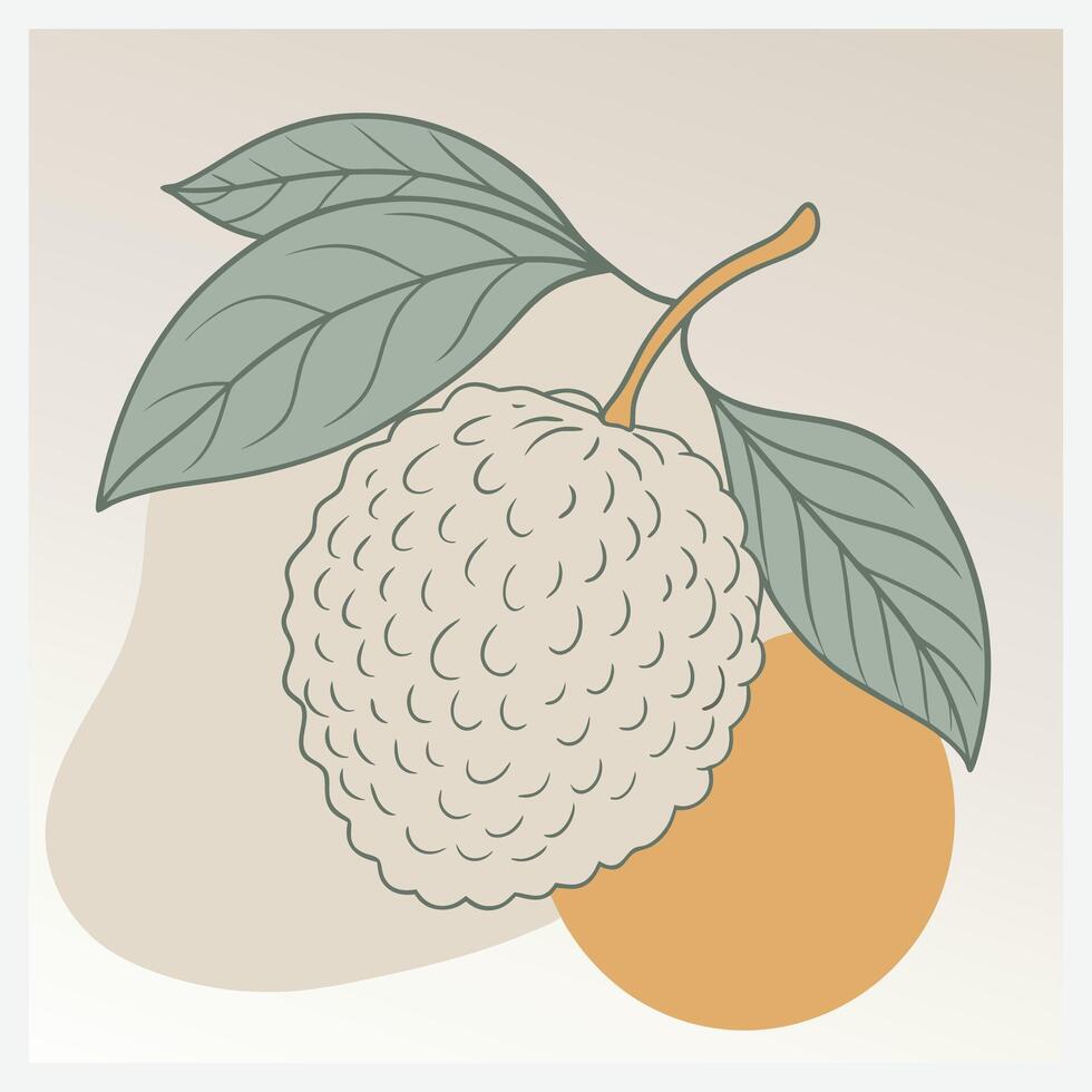 Exquisite Lychee Illustration, Fresh, Juicy, and Vibrant Design vector